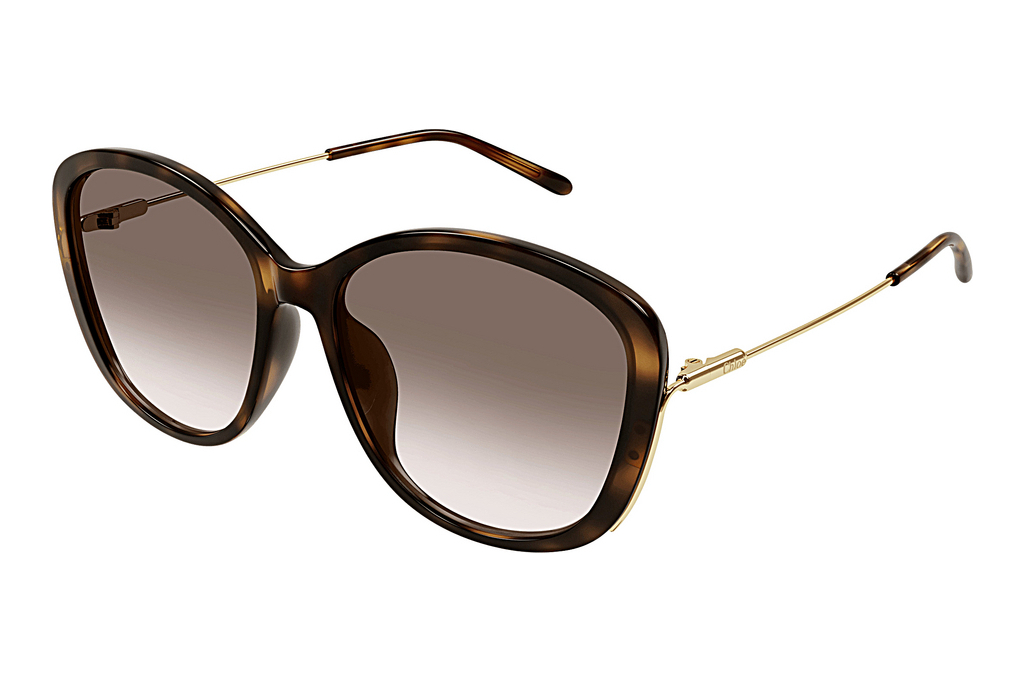 Chloé   CH0175SK 002 HAVANA