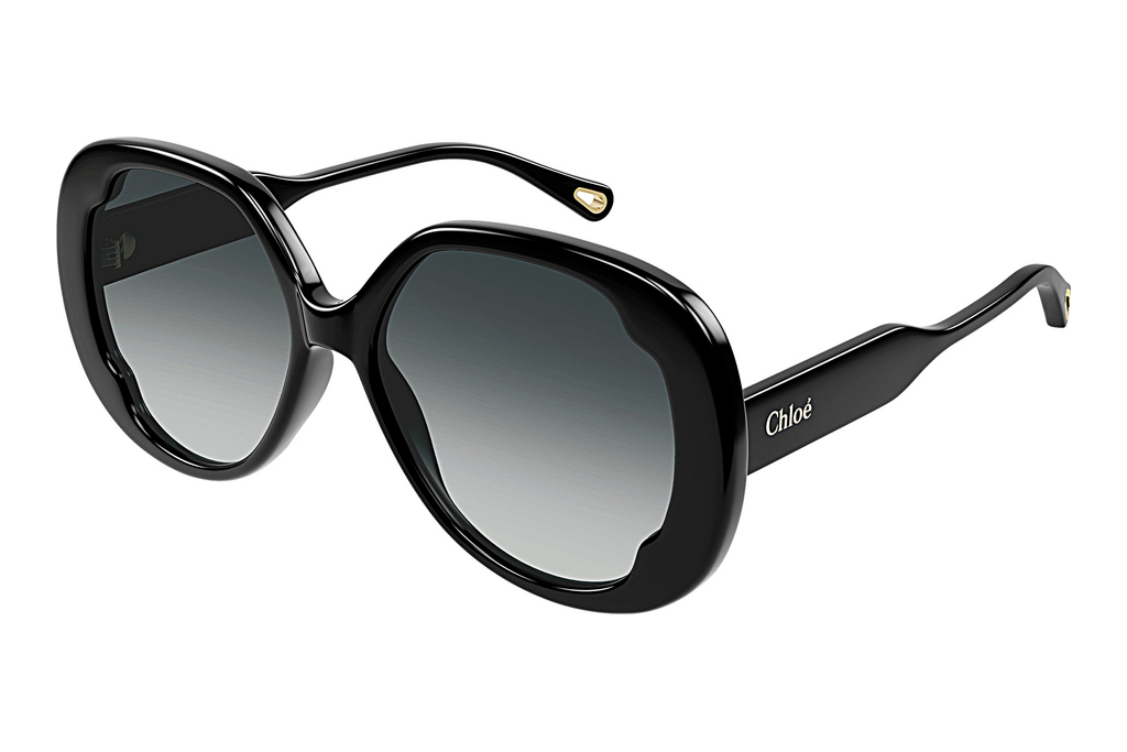 Chloé   CH0195S 001 BLACK