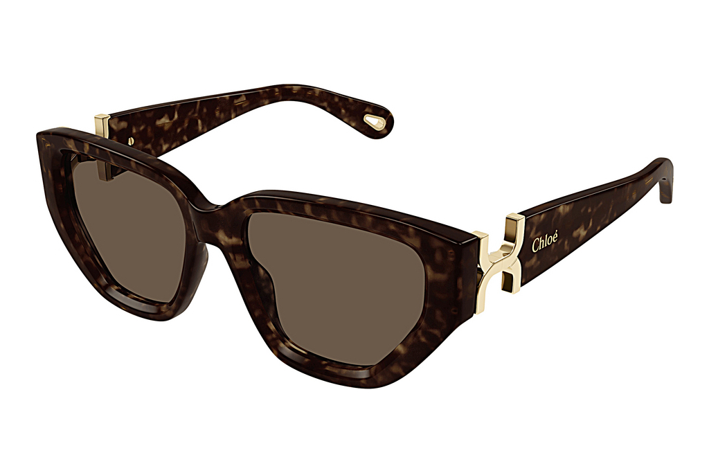 Chloé   CH0235S 002 HAVANA