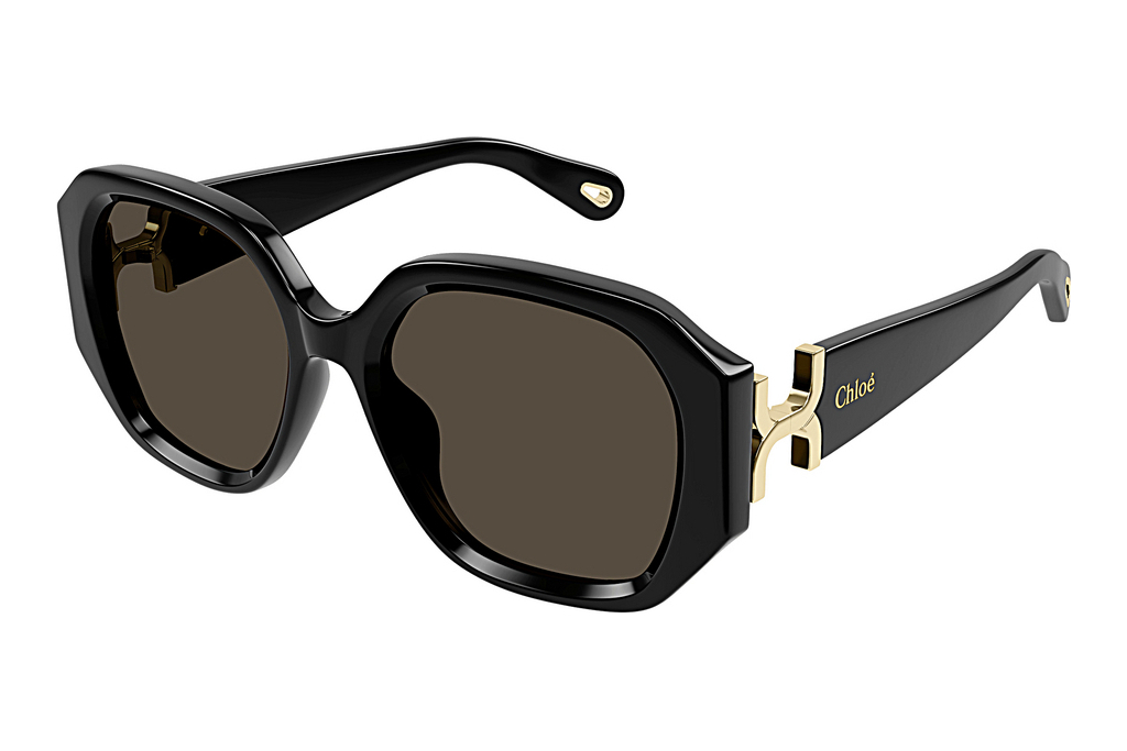 Chloé   CH0236S 001 BLACK