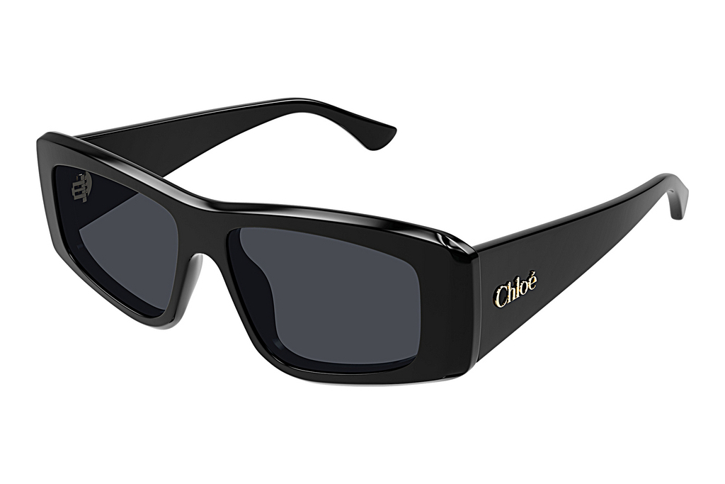 Chloé   CH0299S 001 BLACK