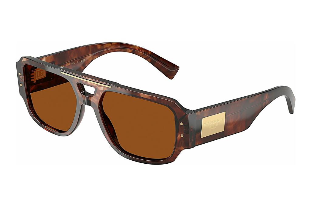 Dolce & Gabbana   DG4482 322273 Dark BrownDark Red Havana