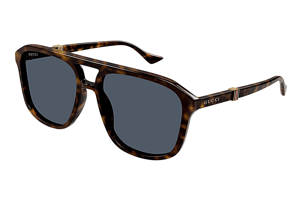 Gucci   GG1494S 002 HAVANA