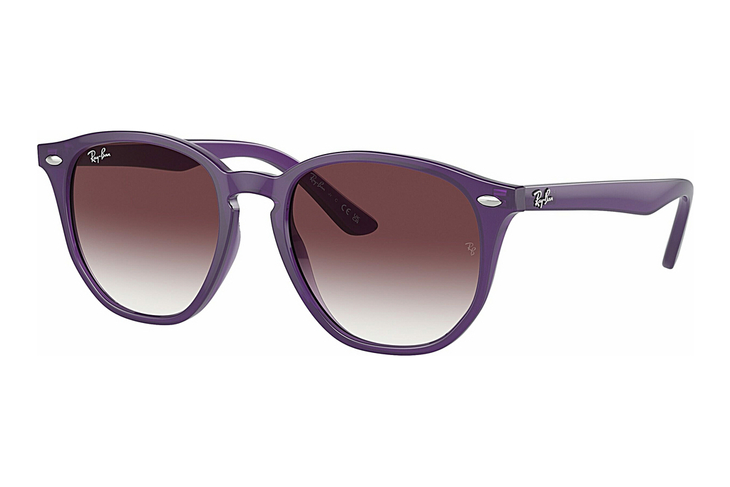 Ray-Ban Kids   RJ9070S 713136 Grey/VioletOpal Violet