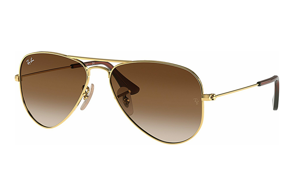 Ray-Ban Kids   RJ9506S 223/13 BrownArista Gold