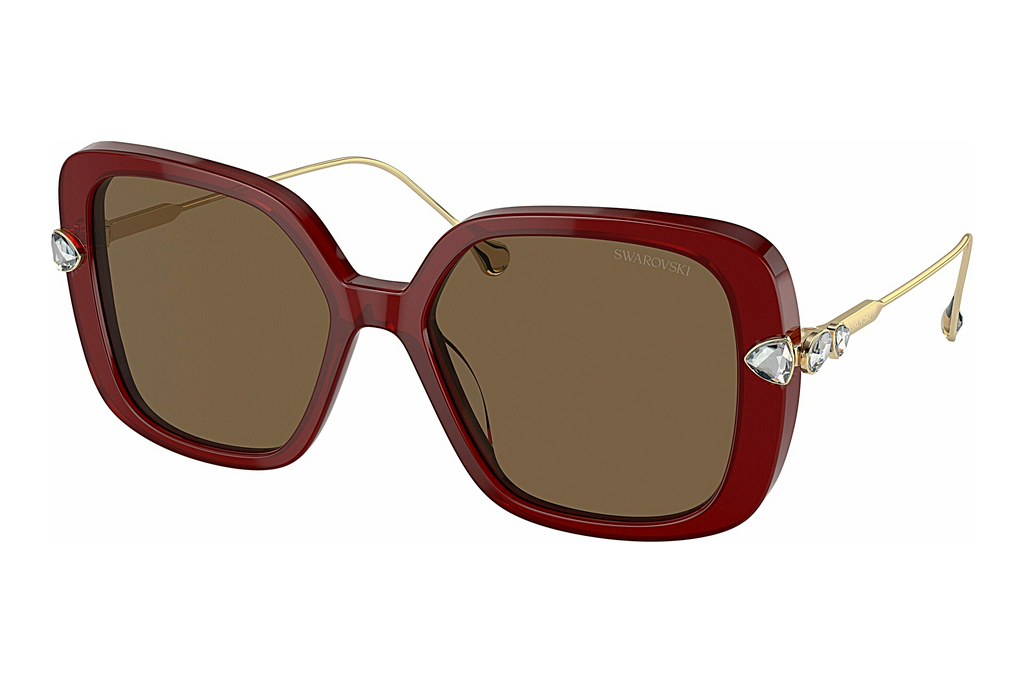 Swarovski   SK6011 105573 Dark BrownTransparent Burgundy