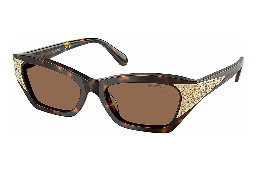 Swarovski   SK6029 100273 Dark BrownDark Havana