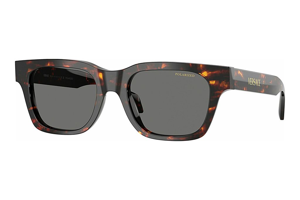 Versace   VE4486 550981 Dark Grey PolarHavana