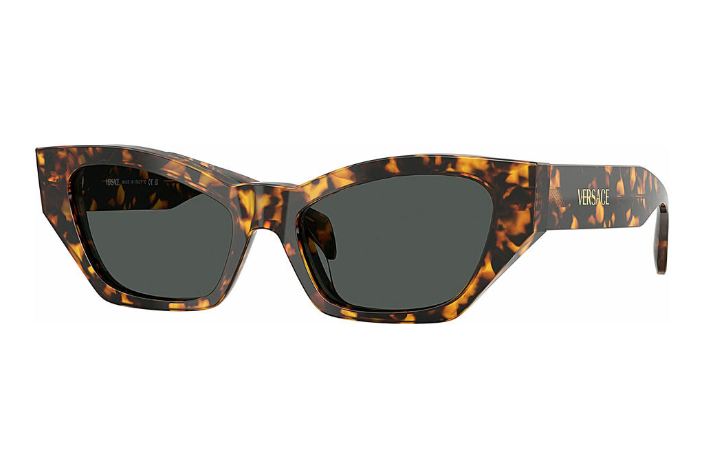 Versace   VE4488U 551487 Dark GreyHavana Tortoise