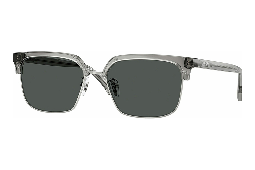 Versace   VE4494D 593/87 Dark GreyTransparent Grey