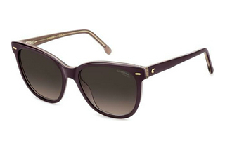 Carrera CARRERA 3043/S 0T7/HA BROWN SHADEDVIOLETT