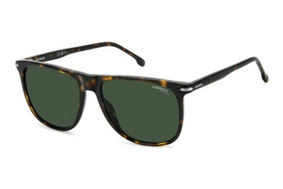 Carrera CARRERA 349/S 086/QT GREENHAVANNA