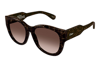 Chloé CH0192S 002 HAVANA