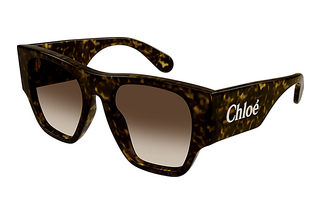 Chloé CH0233S 002 HAVANA