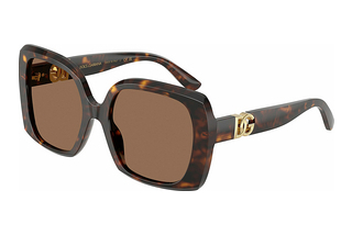 Dolce & Gabbana DG4475 502/73 Dark BrownHavana