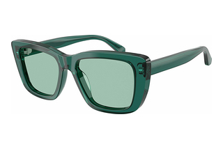 Emporio Armani EA4246U 6252/2 GreenShiny Transparent Green