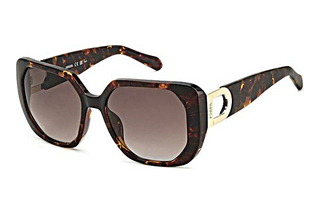 Fossil FOS 2136/S 086/HA BROWN SHADEDHAVANNA