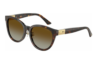 Jimmy Choo JC5032D 5002T5 Brown Gradient PolarHavana