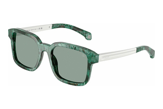 Moncler ME6006 301282 Petrol GreenHavana Green