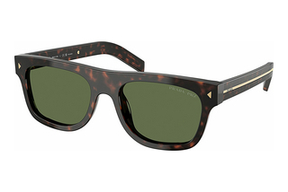 Prada PR B12S 17N20G Polar GreenRoot Tortoise