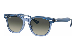 Ray-Ban Kids RJ9098S 715911