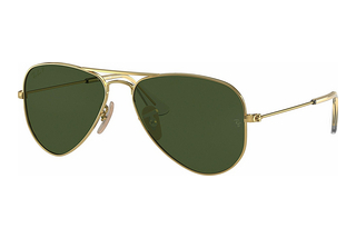 Ray-Ban Kids RJ9506S 223/2P GreenArista Gold