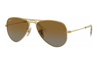 Ray-Ban Kids RJ9506S 223/T5 BrownArista Gold