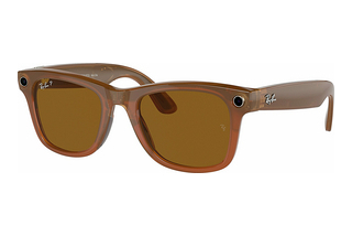 Ray-Ban Meta RW4008 670683 Polar BrownShiny Caramel