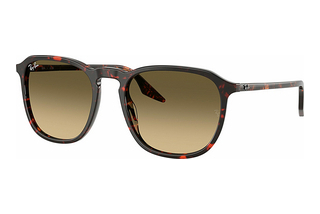 Ray-Ban RB2203 14290A Brown Vintage Gradient BlackHavana Red Turtle