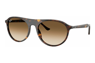 Ray-Ban RB2215 902/51 Clear Gradient BrownHavana