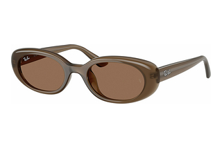 Ray-Ban RB4441D 677973 Dark BrownOpal Brown