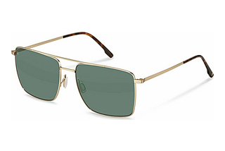 Rodenstock R1448 C150 GREENgold, havana