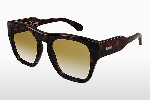 Ophthalmic Glasses Chloé CH0149S 002