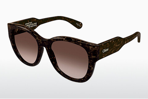 Ophthalmic Glasses Chloé CH0192S 002