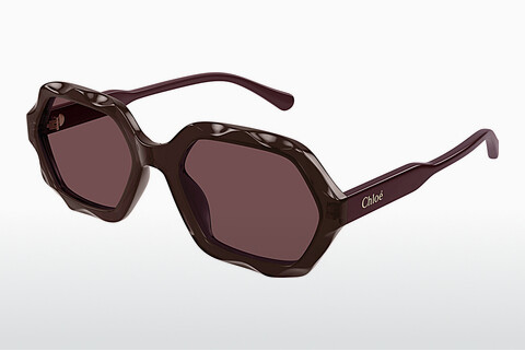 Ophthalmic Glasses Chloé CH0227S 002