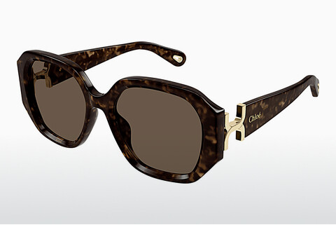 Ophthalmic Glasses Chloé CH0236S 002