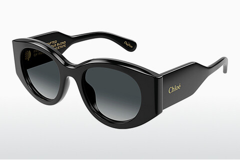 Ophthalmic Glasses Chloé CH0251S 001