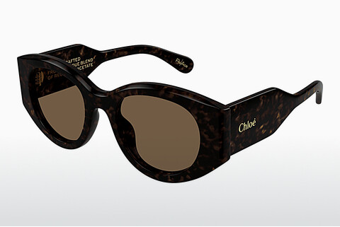 Ophthalmic Glasses Chloé CH0251S 002