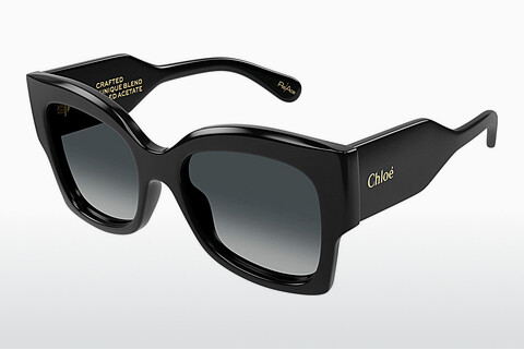 Ophthalmic Glasses Chloé CH0252S 001