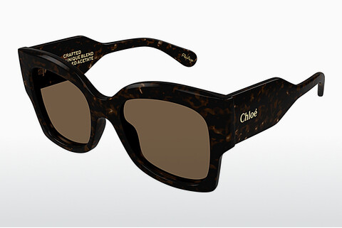 Ophthalmic Glasses Chloé CH0252S 002