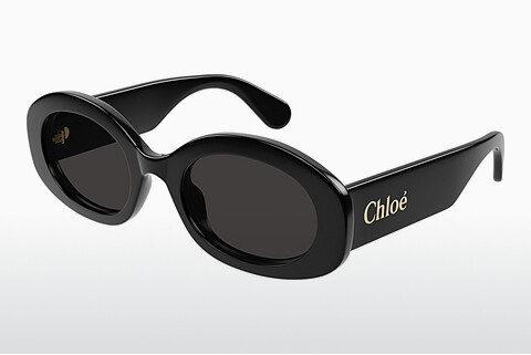 Ophthalmic Glasses Chloé CH0258S 001