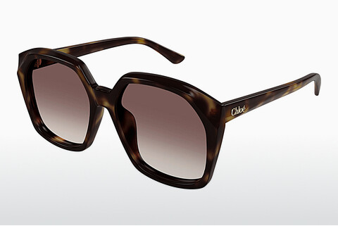 Ophthalmic Glasses Chloé CH0280S 006