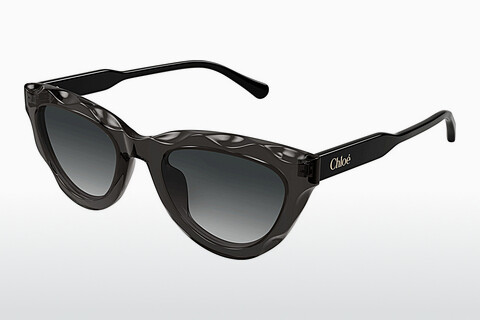 Ophthalmic Glasses Chloé CH0294S 001