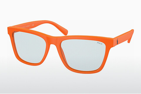 Ophthalmic Glasses Polo PH4167 596872