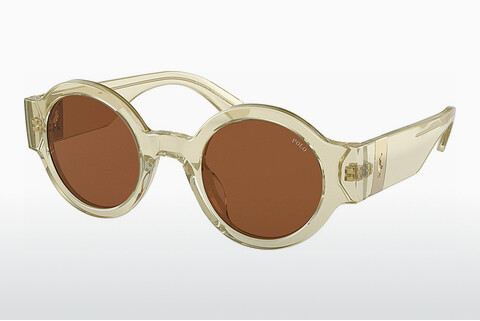Ophthalmic Glasses Polo PH4190U 503473