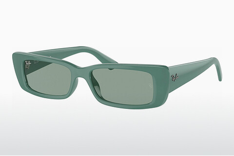 Ophthalmic Glasses Ray-Ban TERU (RB4425 676282)