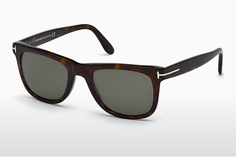 Ophthalmic Glasses Tom Ford Leo (FT0336 56R)