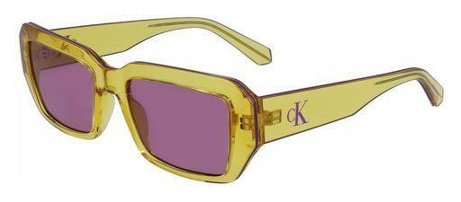 Ophthalmic Glasses Calvin Klein CKJ23602S 701