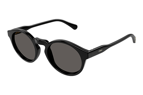 Ophthalmic Glasses Chloé CC0014S 005