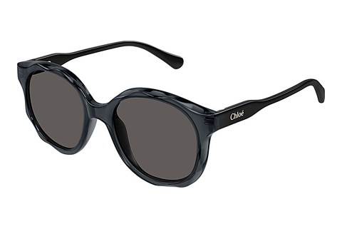 Ophthalmic Glasses Chloé CC0019S 001